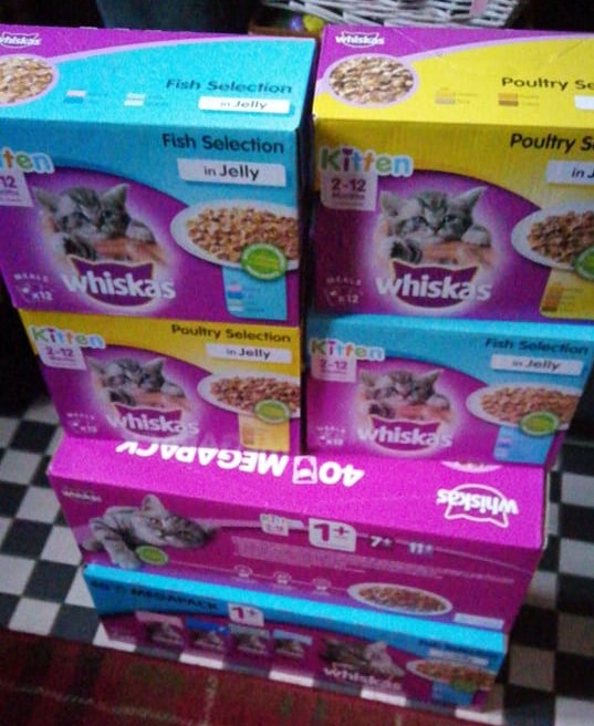 cat food