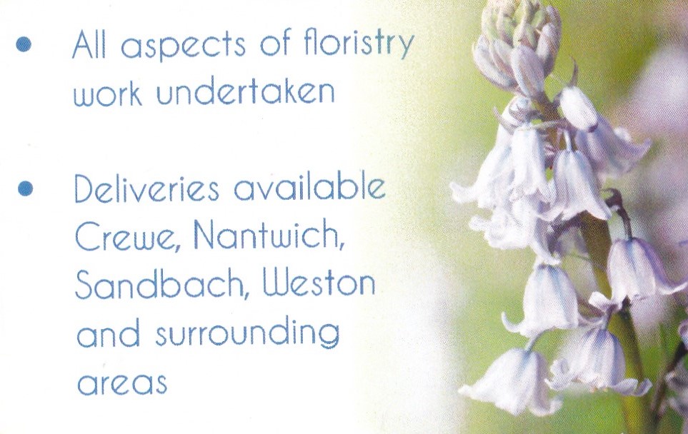 bluebells-2