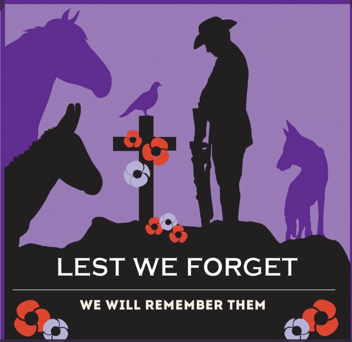Remember The Serving Animals That Were Lost This Remembrance Sunday 2022