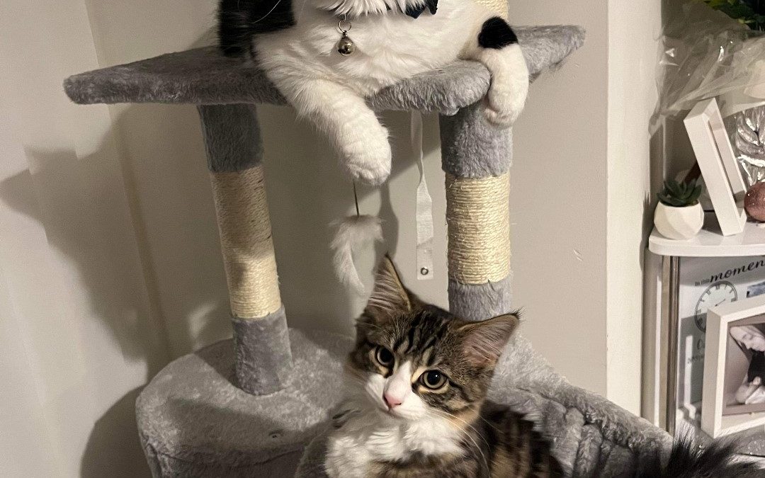 ROCCO & WINNIE
