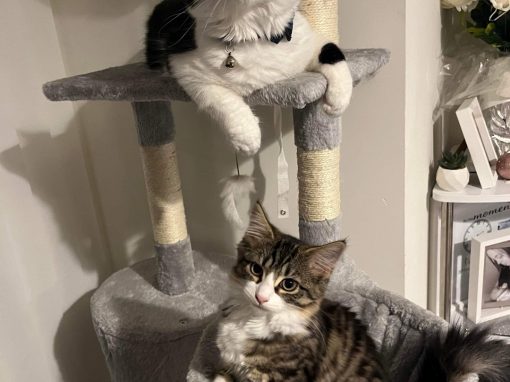 ROCCO & WINNIE