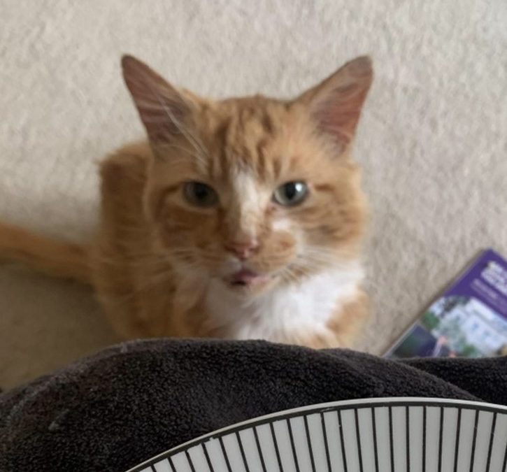 Jeffrey (8-13 yrs old)
